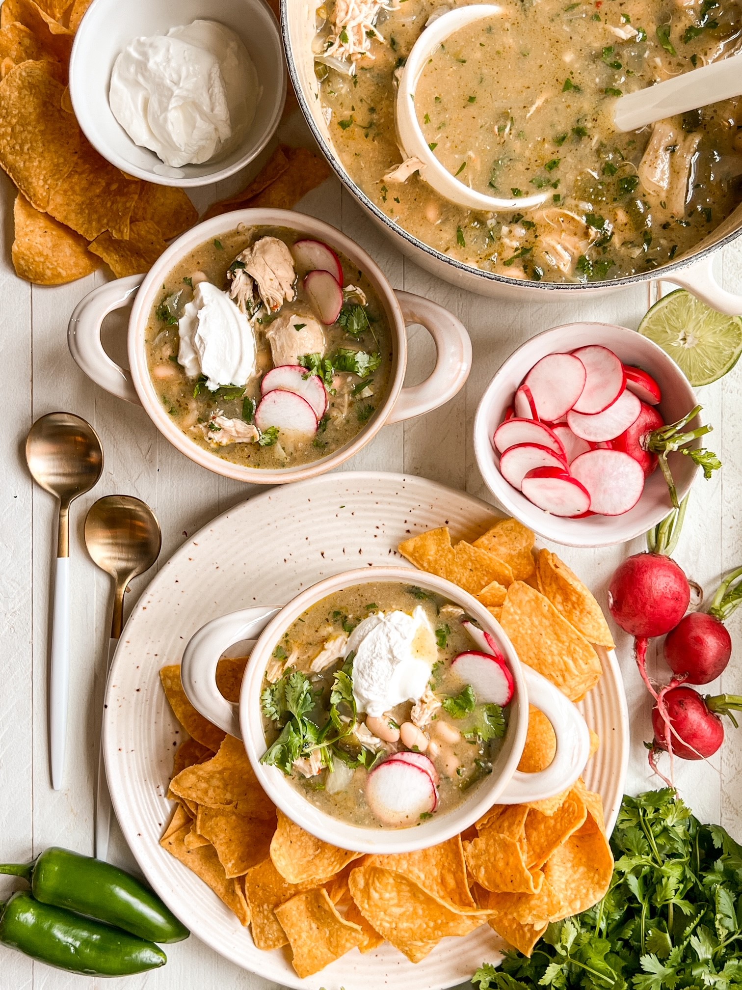 Green Chile Chicken and Bean Soup